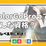 KolorGoProってどんな資格？